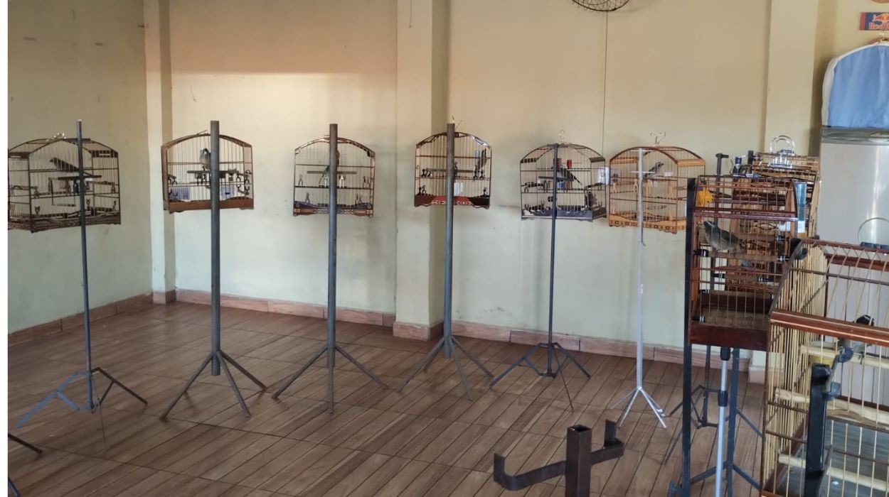 foto Not&iacute;cia Monte Alto