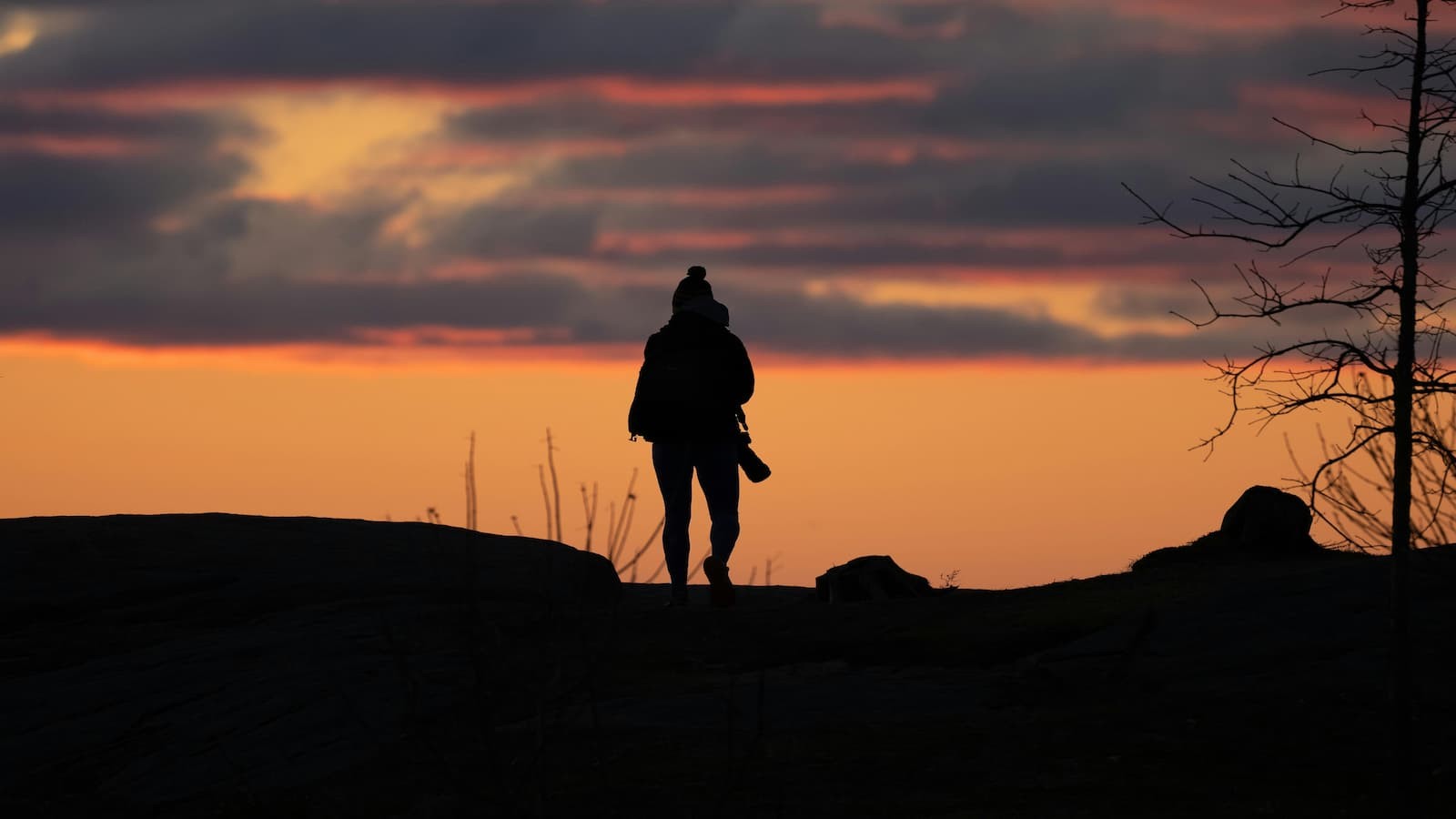 foto Not&iacute;cia Monte Alto