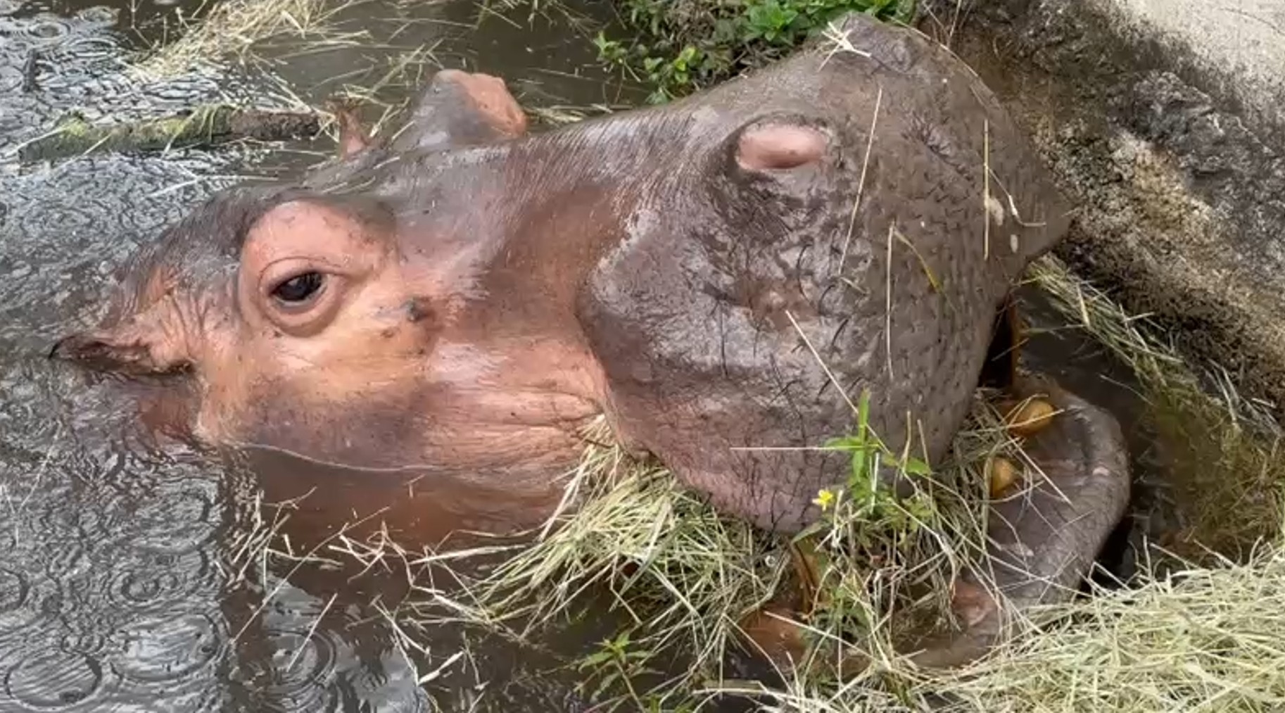 foto Not&iacute;cia Monte Alto