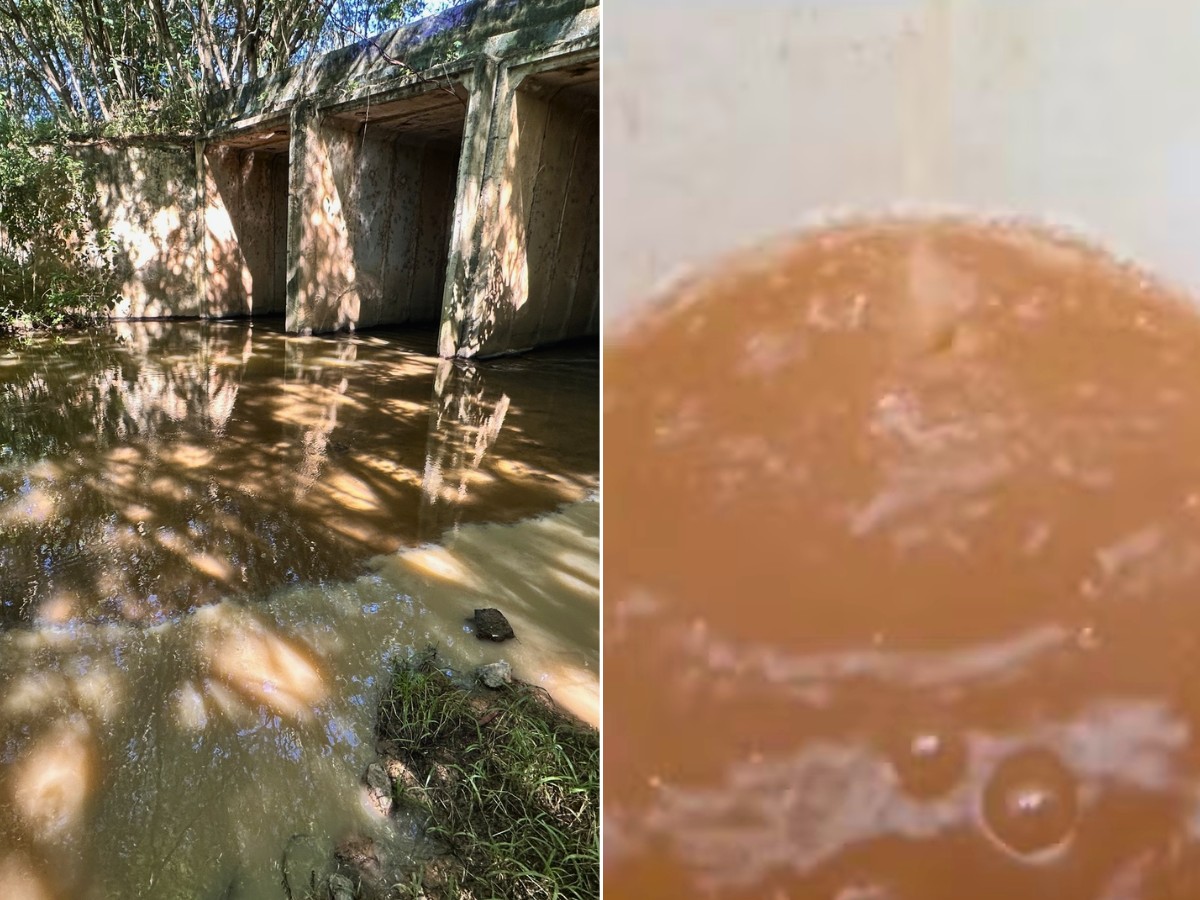 foto Not&iacute;cia Monte Alto